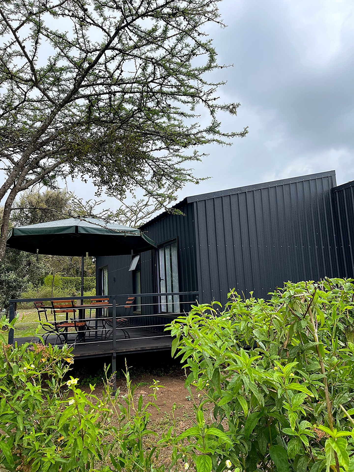 📌Naivasha.Weaver bird House.