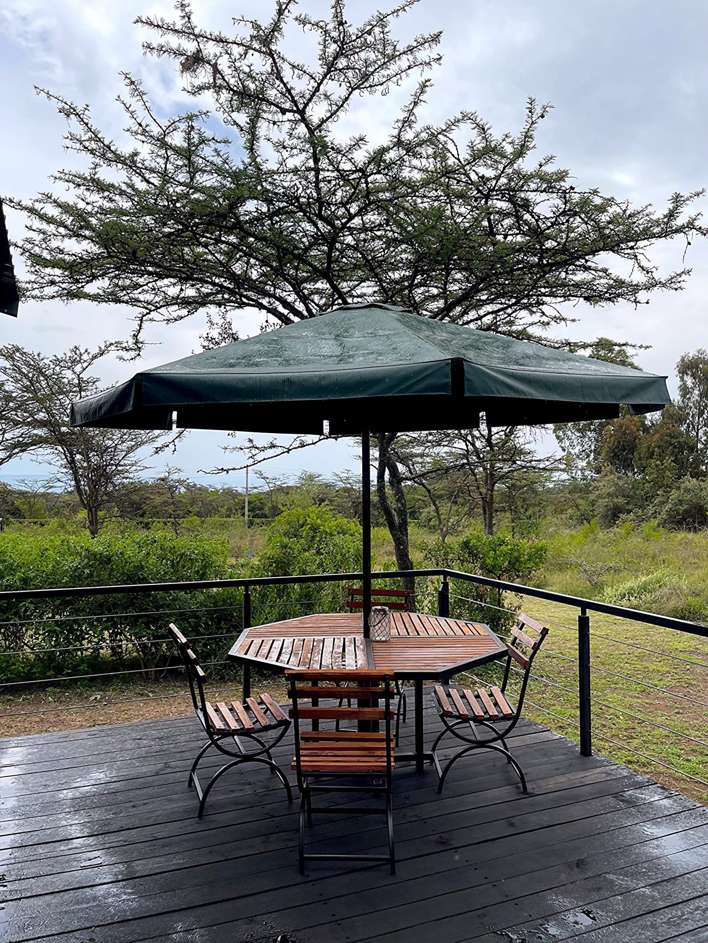 📌Naivasha.Weaver bird House.