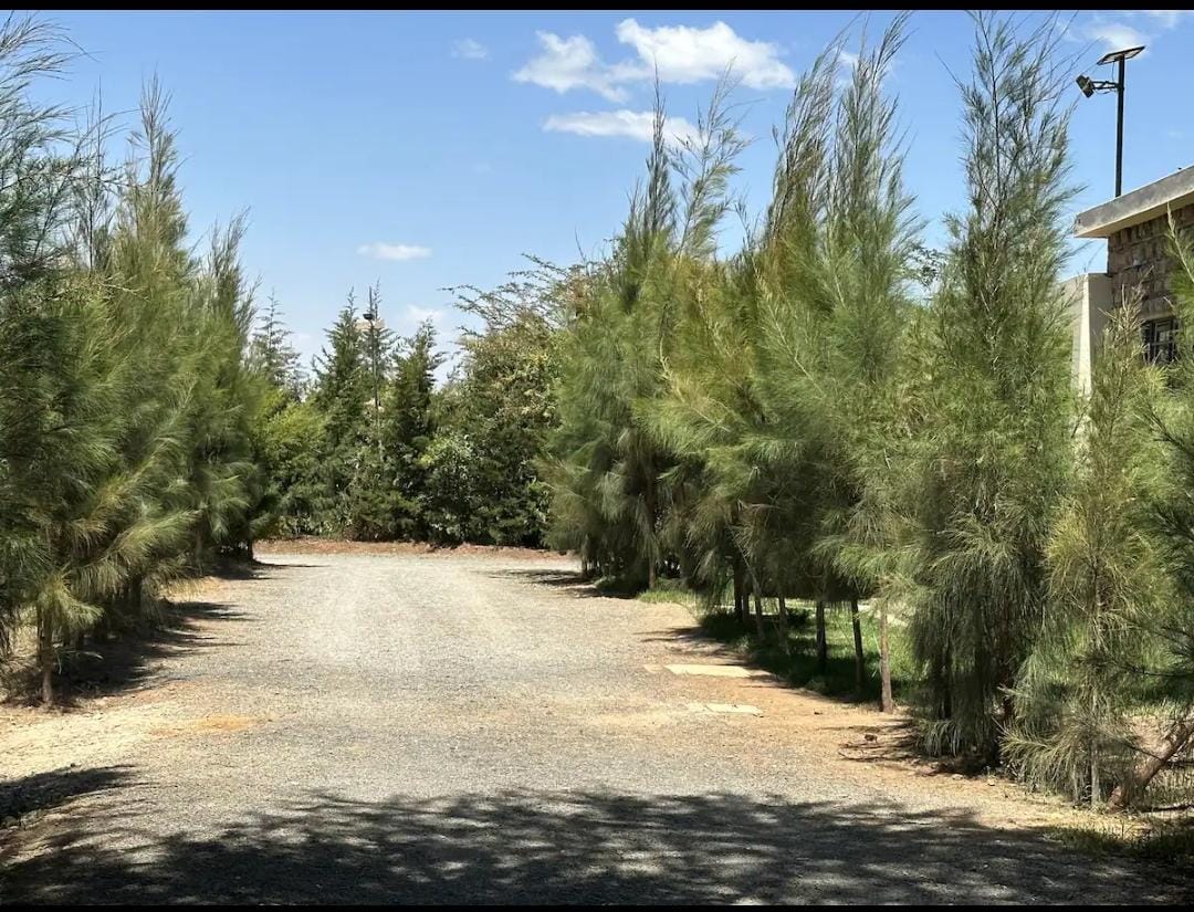 📌.Naivasha.Yellow Cottage